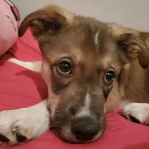 Meet your Posher, Kelly